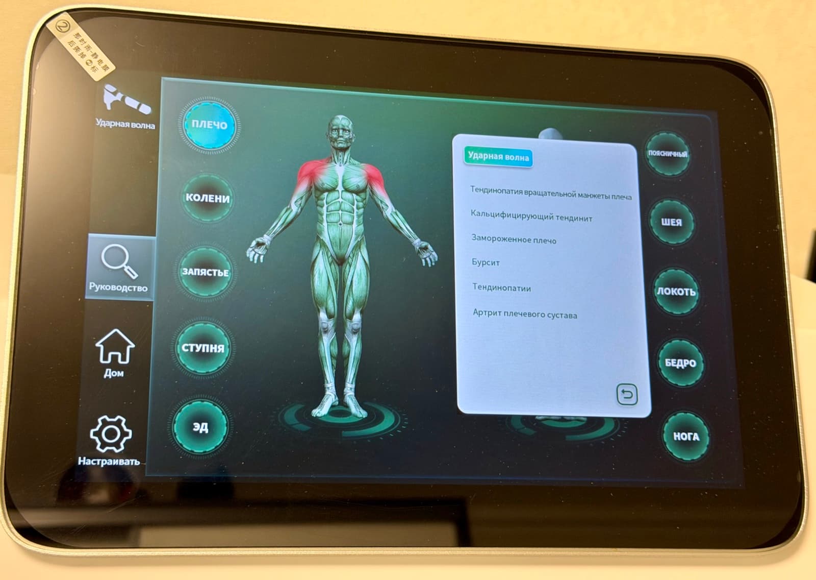 Intelect Puls 30 — миниатюра 13